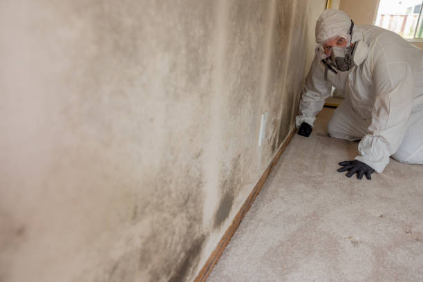 Mold Remediation for Vacation Homes in Hennessey, OK